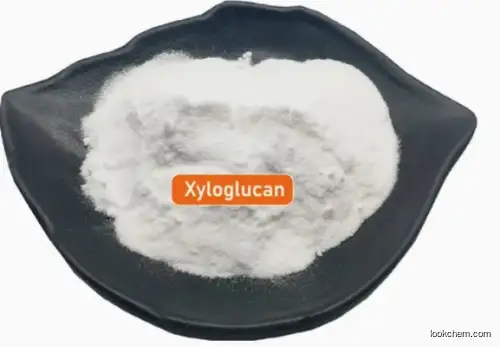 XYLOGLUCAN CAS 37294-28-3
